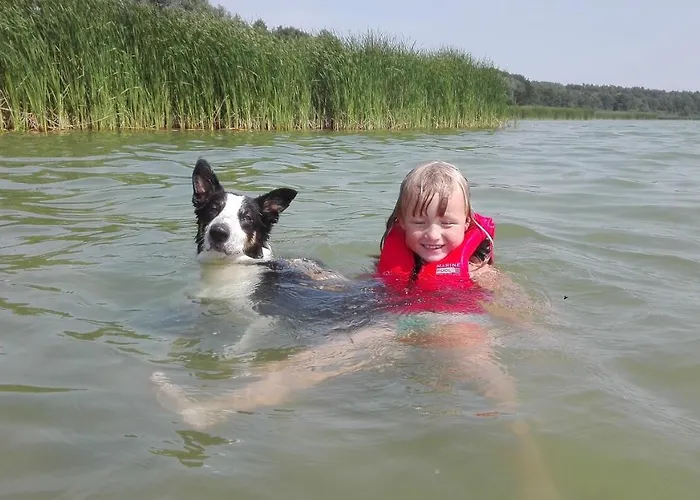 Haus Hébergement de vacances
